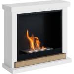 TAGU Hagen FreeFlame Камини