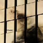 Dominic - Dominic (LP) (4024572570415)