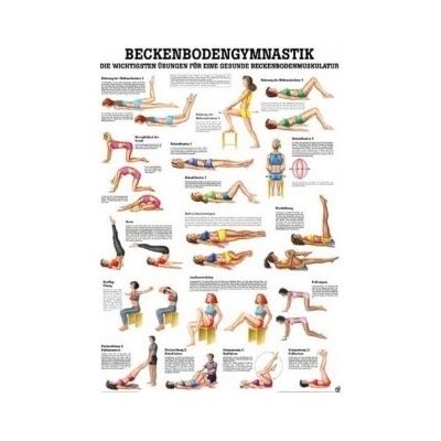 Rüdiger-Anatomie Naučný plakát Gymnastika pánevního dna