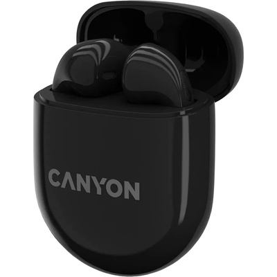 Canyon CNS-TWS6