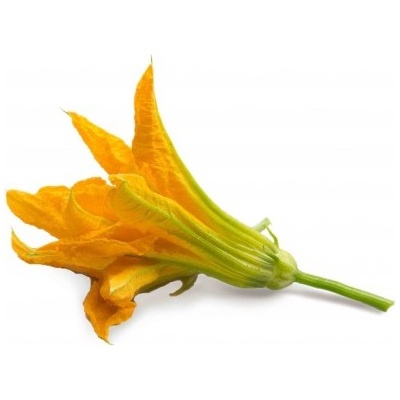 Veritable Вложка за семена Lingot ядливи цветя от тиквички (lingot-cukinia)