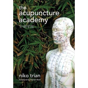 Acupuncture Academy | Niko Trian (2015)