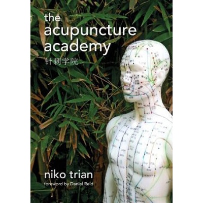 Acupuncture Academy | Niko Trian