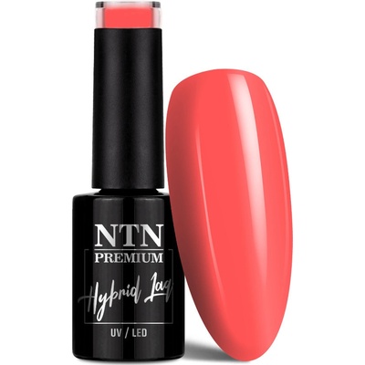 NTN Gél lak premium Celebration Collection 164 5 g