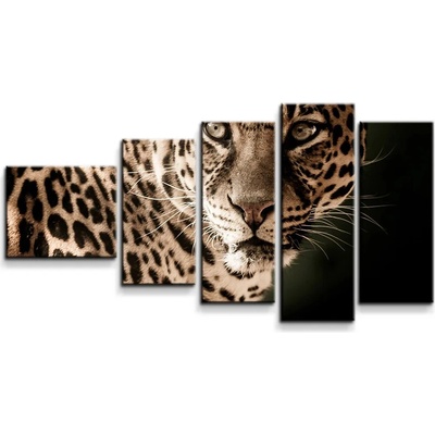 Sablio Obraz - 5-dílný Leopard - 100x60 cm