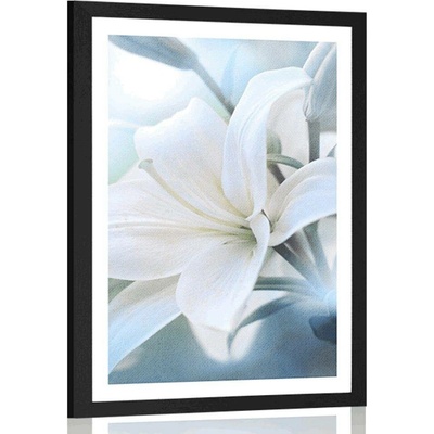 Plakát s paspartou bílý květ lilie na abstraktním pozadí - 30x45 silver