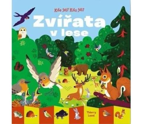 Zvířata v lese