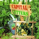Captial Letters - Vineyard LP