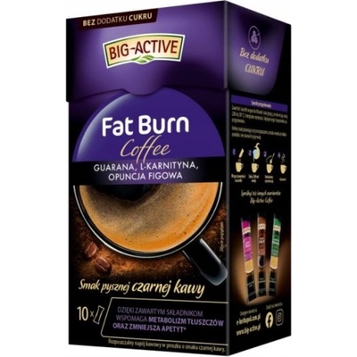 Big-Active Fat Burn 100 g