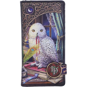 Nemesis Now Портмоне Nemesis Now Adult: Magic - Guardian of Spells (by Lisa Parker) (B7343A26)