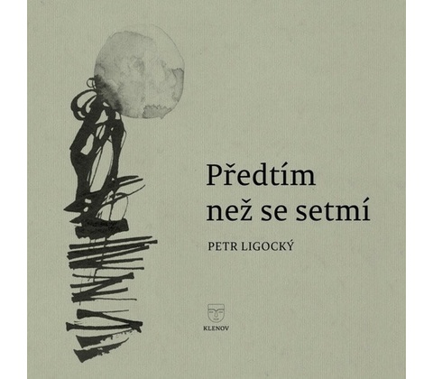 Předtím než se setmí