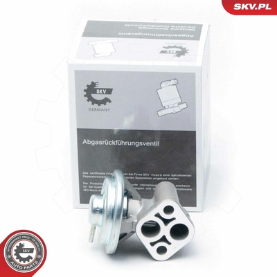 AGR-Ventil ESEN SKV 14SKV104