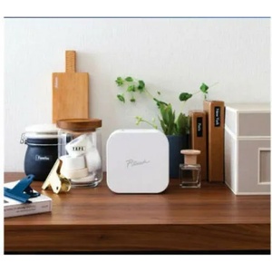 Brother PTP300BT (PTP300BTRE1)