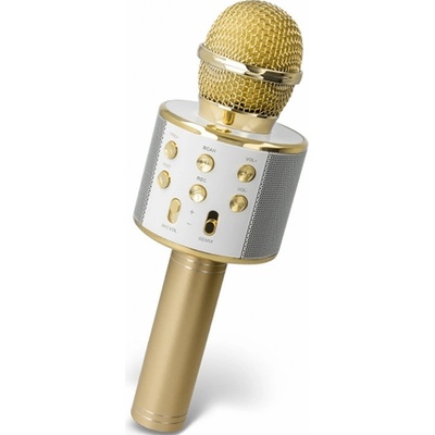 Mikrofón ručný FOREVER BMS 300 GOLD Karaoke