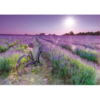 Image 1 of Educa - Puzzle Bike in a Lavender Field - 1 000 piese