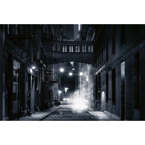 DIMEX ART Флизелинов фототапет монохромен изглед 375 x 250 см