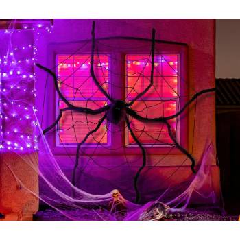 Fiestas Guirca Паяжина с паяк