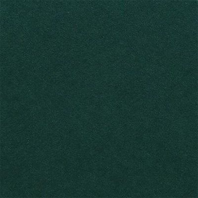 Fabriano Картон Elle Erre, 70 x 100 cm, 220 g/m2, № 128, тъмнозелен (46470128/10_VERDONE)