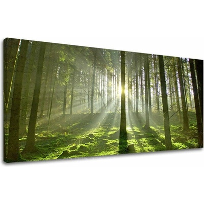 Obraz na stěnu PANORAMA STROMY - 70x140 cm