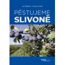 Pěstujeme slivoně