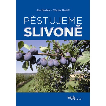 Pěstujeme slivoně