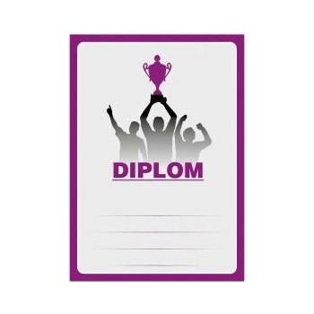 Diplom 6695