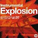 VARIOUS - INSTRUMENTAL EXPLOSION CD
