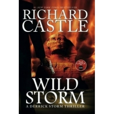 Wild Storm - A Derrick Storm Novel - Richard Castle