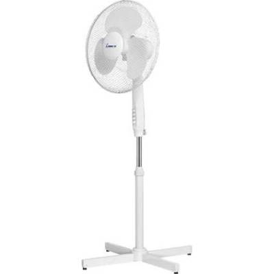 Momert 2357