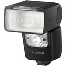 Panasonic DMW-FL580LE