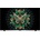 TCL 55C6K
