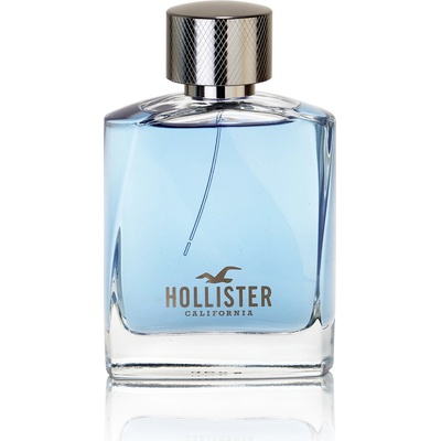 Hollister Wave toaletná voda pánska 100 ml tester