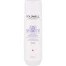 Goldwell Dualsenses Just Smooth Taming Shampoo 250 ml