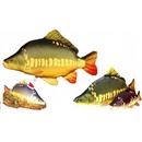 Gaby Vankúš plyšová ryba Kapor 36cm