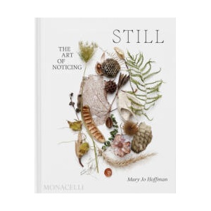 Still: The Art of Noticing (2024)