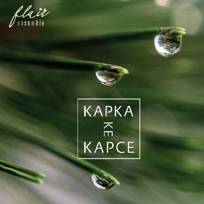 Supraphon Flair Ensemble: Kapka ke kapce - CD (037427)