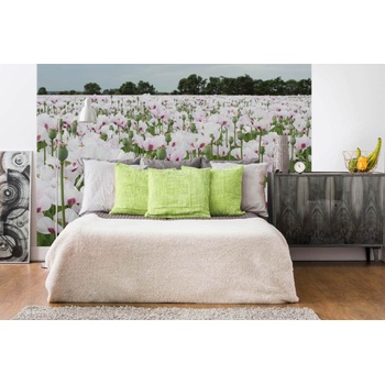 DIMEX ART Самозалепваща се флизелинова фототапета мак 375 x 250 см