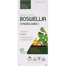 Medica Herbs Boswellia Acacia 350 mg 60 kapsúl