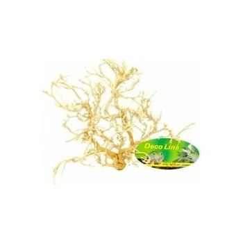 Lucky Reptile Desert Bush vybělené 15-20 cm