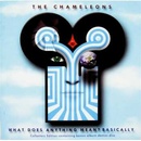 What Does Anything Mean? Basically - The Chameleons CD