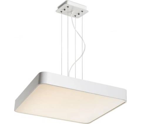 Rendl 11291