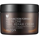Pleťové krémy Mizon All In One Snail Repair Cream s filtrátom slimáčieho sekrétu 92% 120 ml
