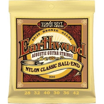 Ernie Ball 2069
