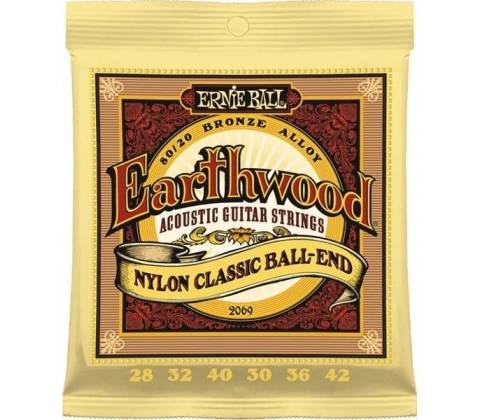 Ernie Ball 2069