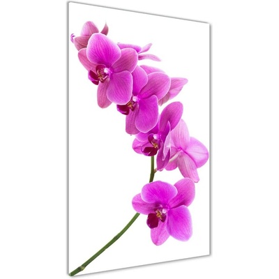Vertikálny foto obraz sklenený Ružová orchidea 50x100 cm