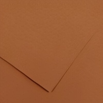 Canson Colorline 50x65 cm Nut 33 150 g Цветна хартия (C200041409)