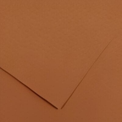 Canson Colorline 50x65 cm Nut 33 150 g Цветна хартия (C200041409)