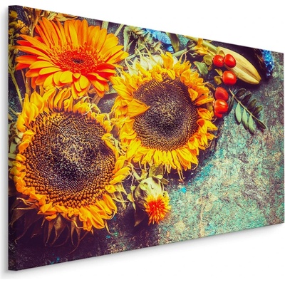 Plátno Slunečnice Ve Stylu Vintage Varianta: 30x20