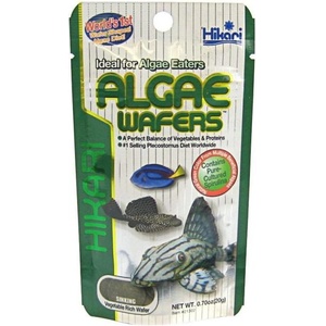 Hikari Algae Wafers 20g (265)