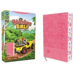 NIrV, Adventure Bible for Early Readers, Leathersoft, Pink, Full Color | Lawrence O. Richards (ISBN: 9780310745204)